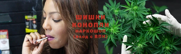 спайс Пересвет