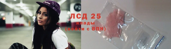 спайс Пересвет