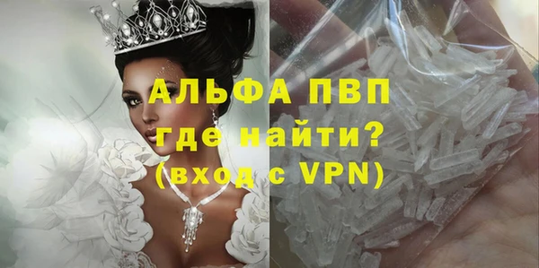 спайс Пересвет